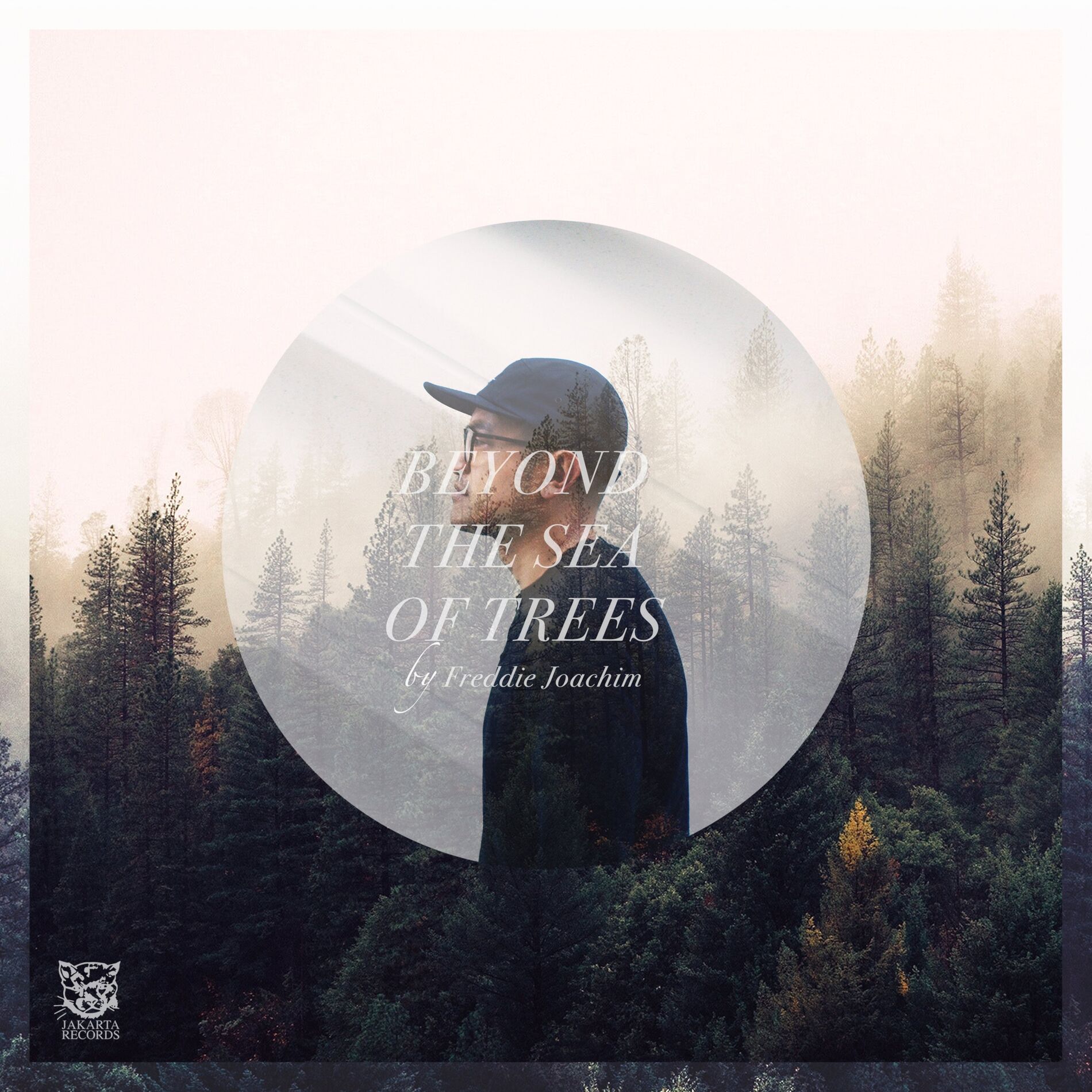 Album cover of Beyond the Sea of Trees
