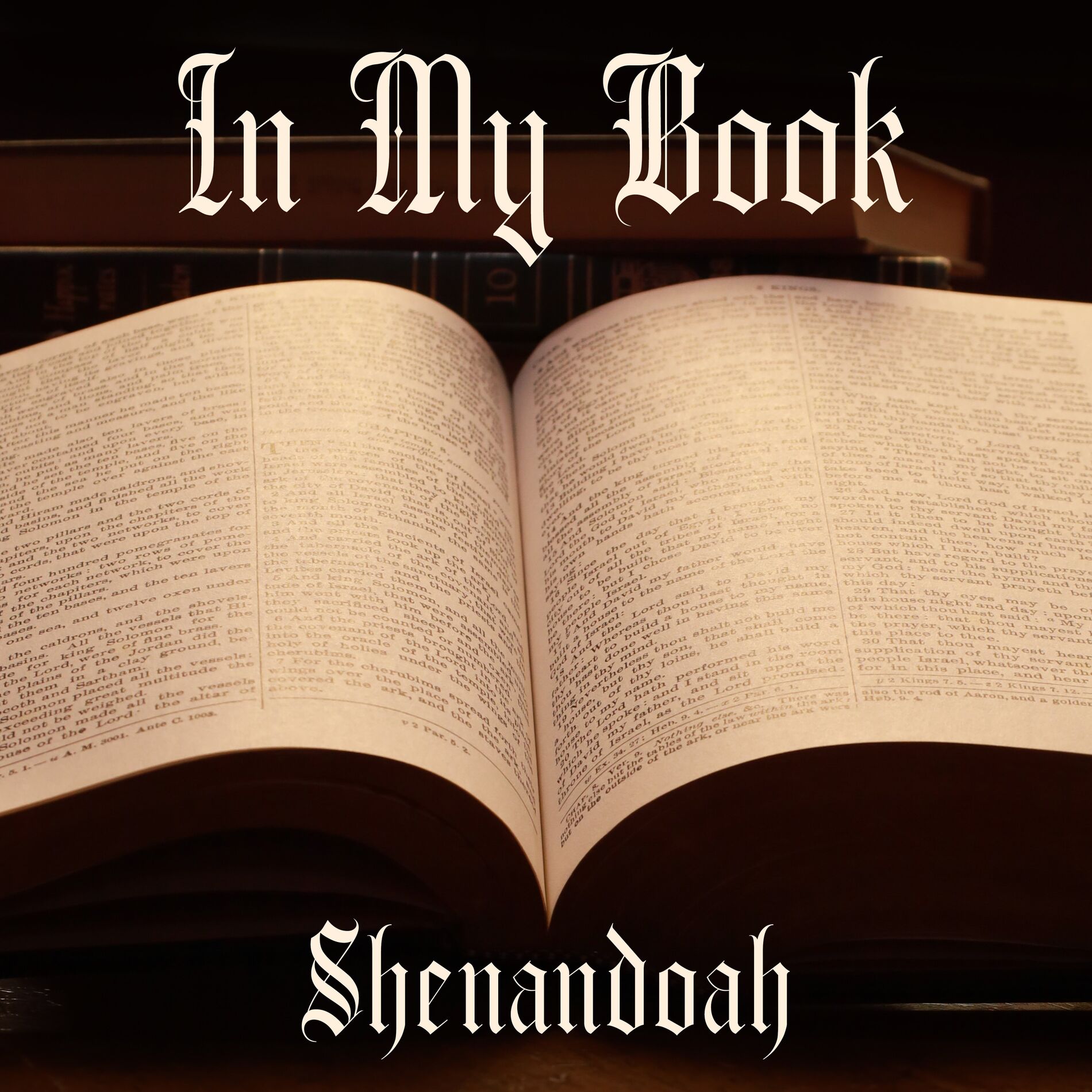 Album cover of In My Book