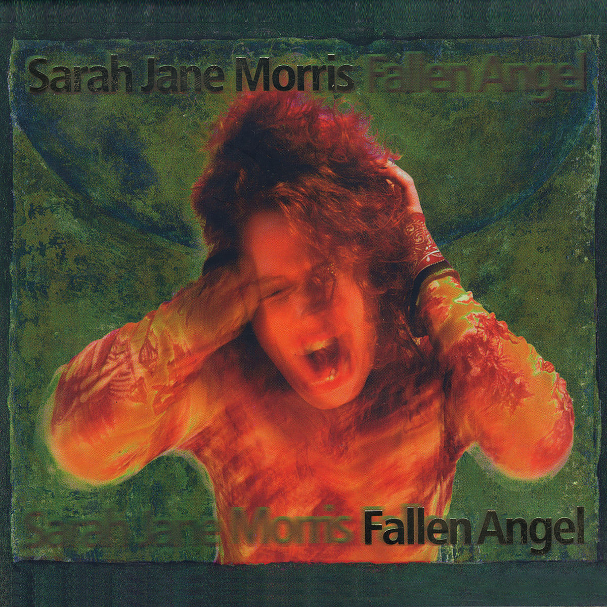 Album cover of Fallen Angel