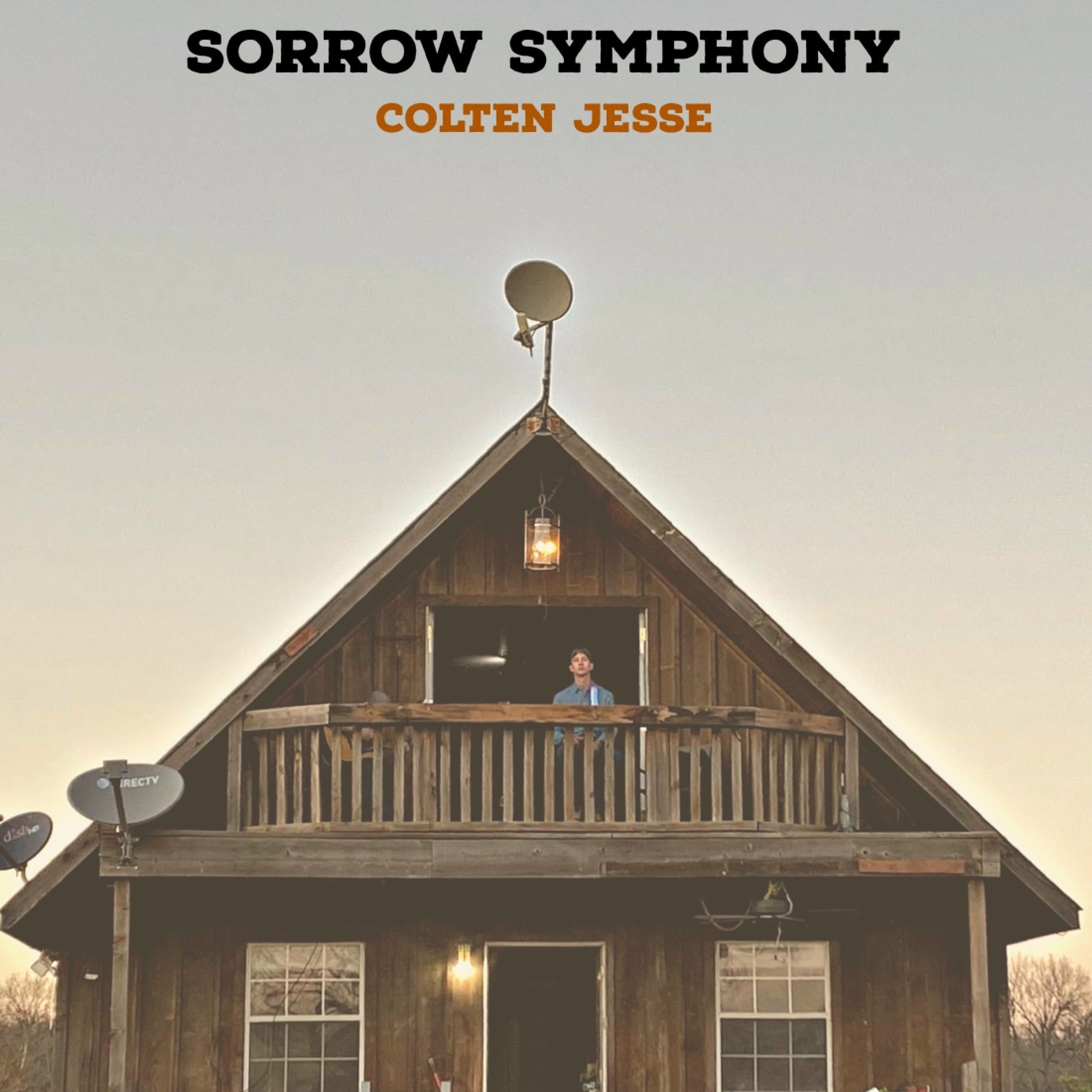Album cover of Sorrow Symphony