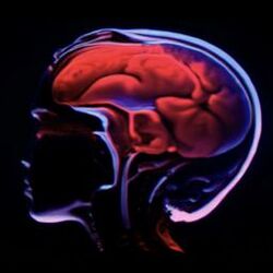 Cover of neurosis