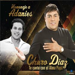 Cover of Homenaje a Adanies Díaz, Te Canto Con el Alma Papá