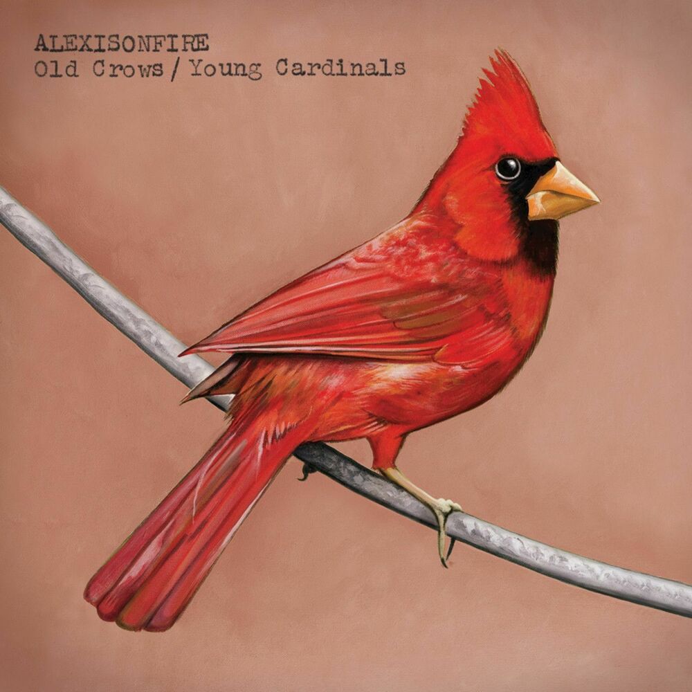 Picture of Old Crows / Young Cardinals