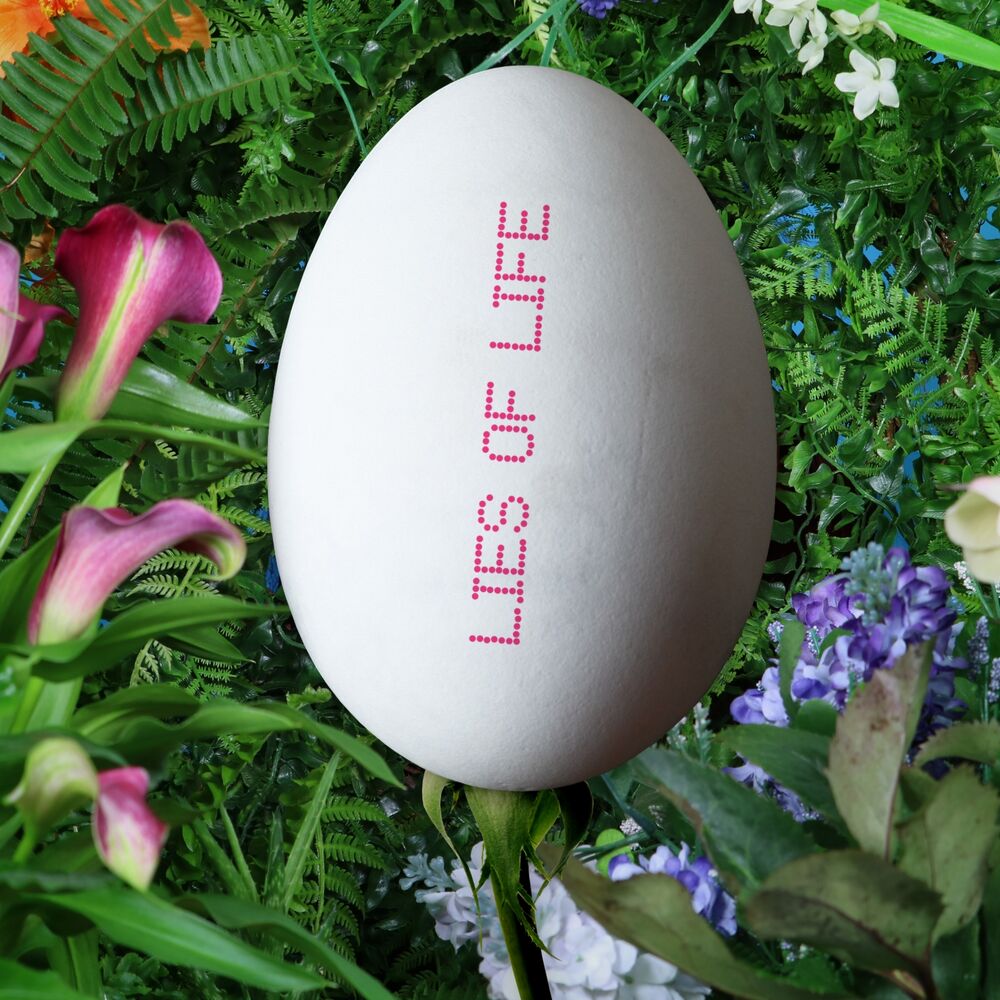Picture of Lies of Life