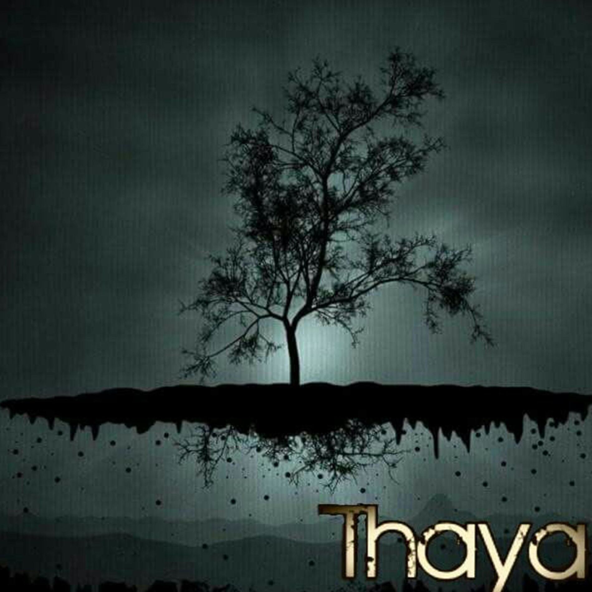 Album cover of Intencion