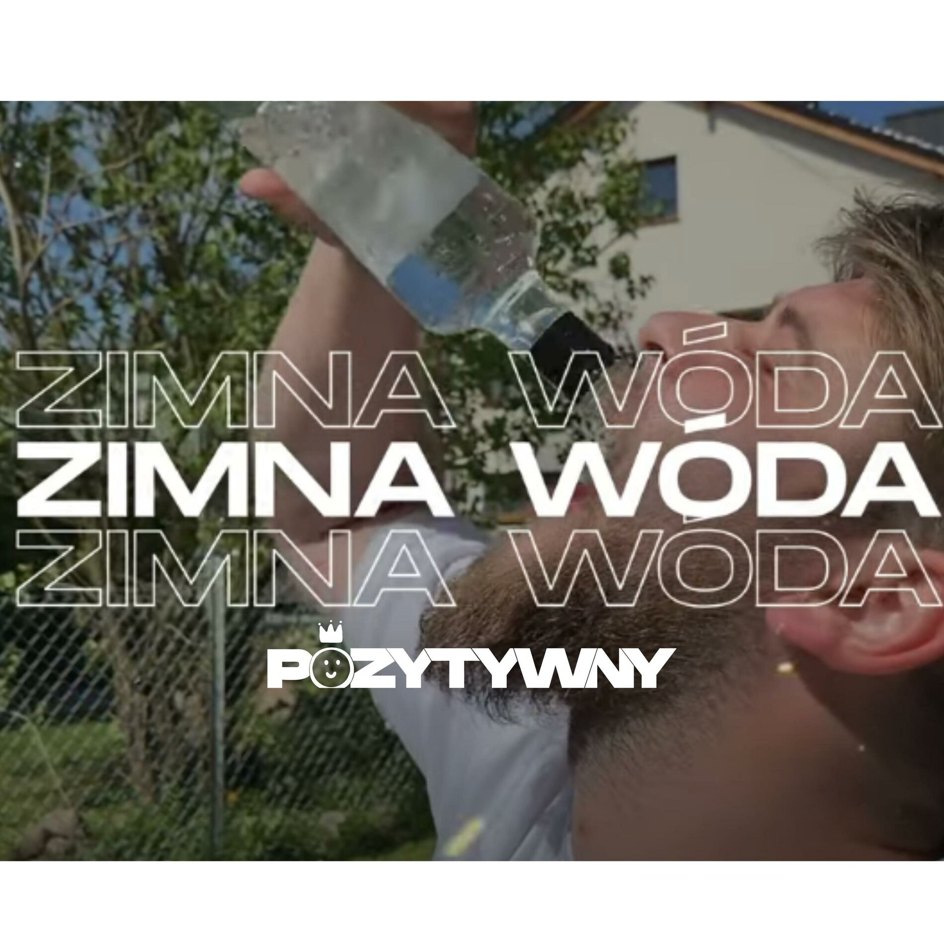 Album cover of Zimna Wóda (POZYTYWNY Remix)