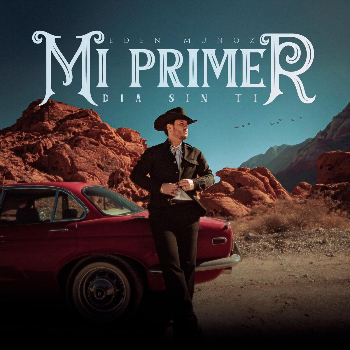 Album cover of Mi Primer Día Sin Ti