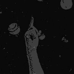 Cover of Hells Bells