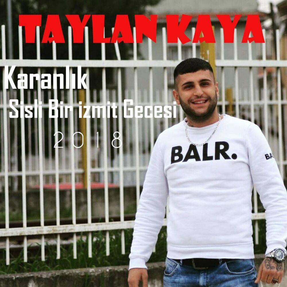 Picture of Karanlık Sisli Bir İzmit Gecesi