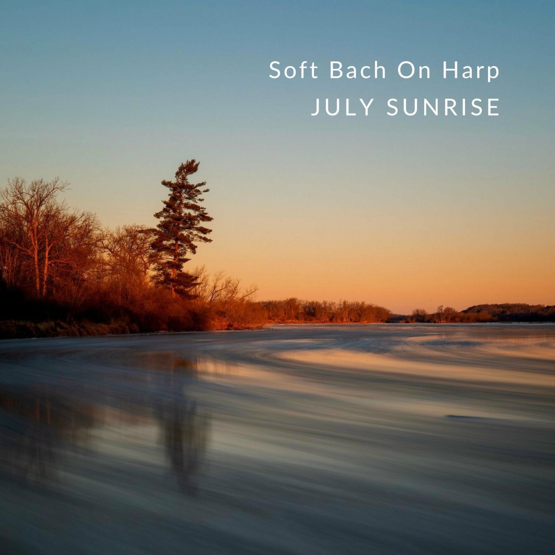 Album cover of Soft Bach On Harp