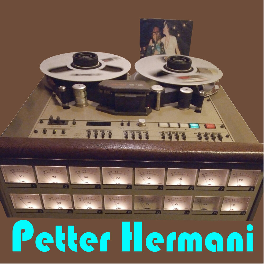 Picture of Petter Hermani