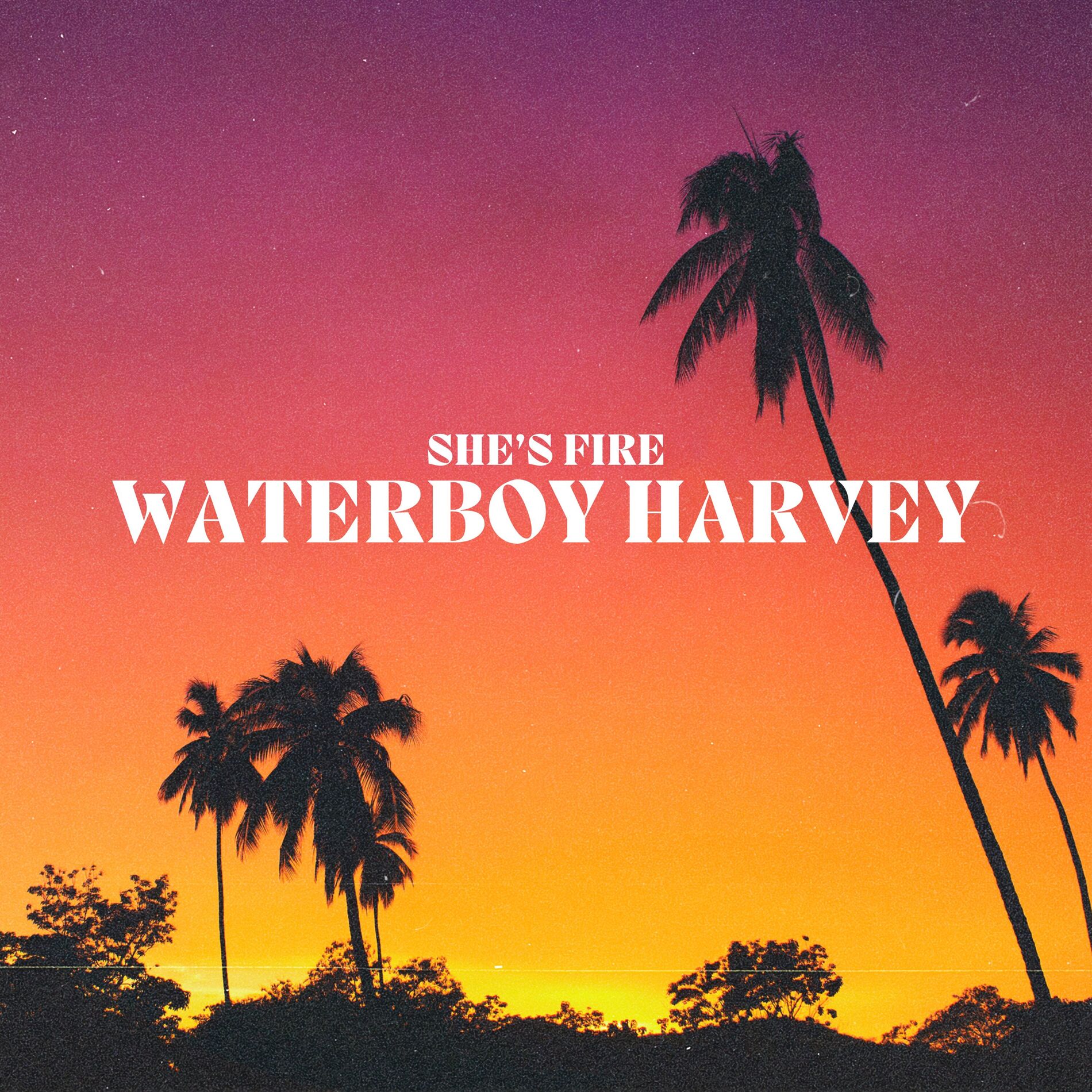 Album cover of SHE'S FIRER