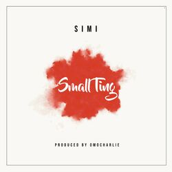 Cover of Small Ting