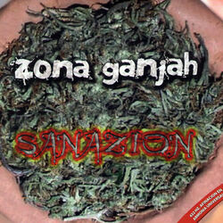 Cover of Sanazion