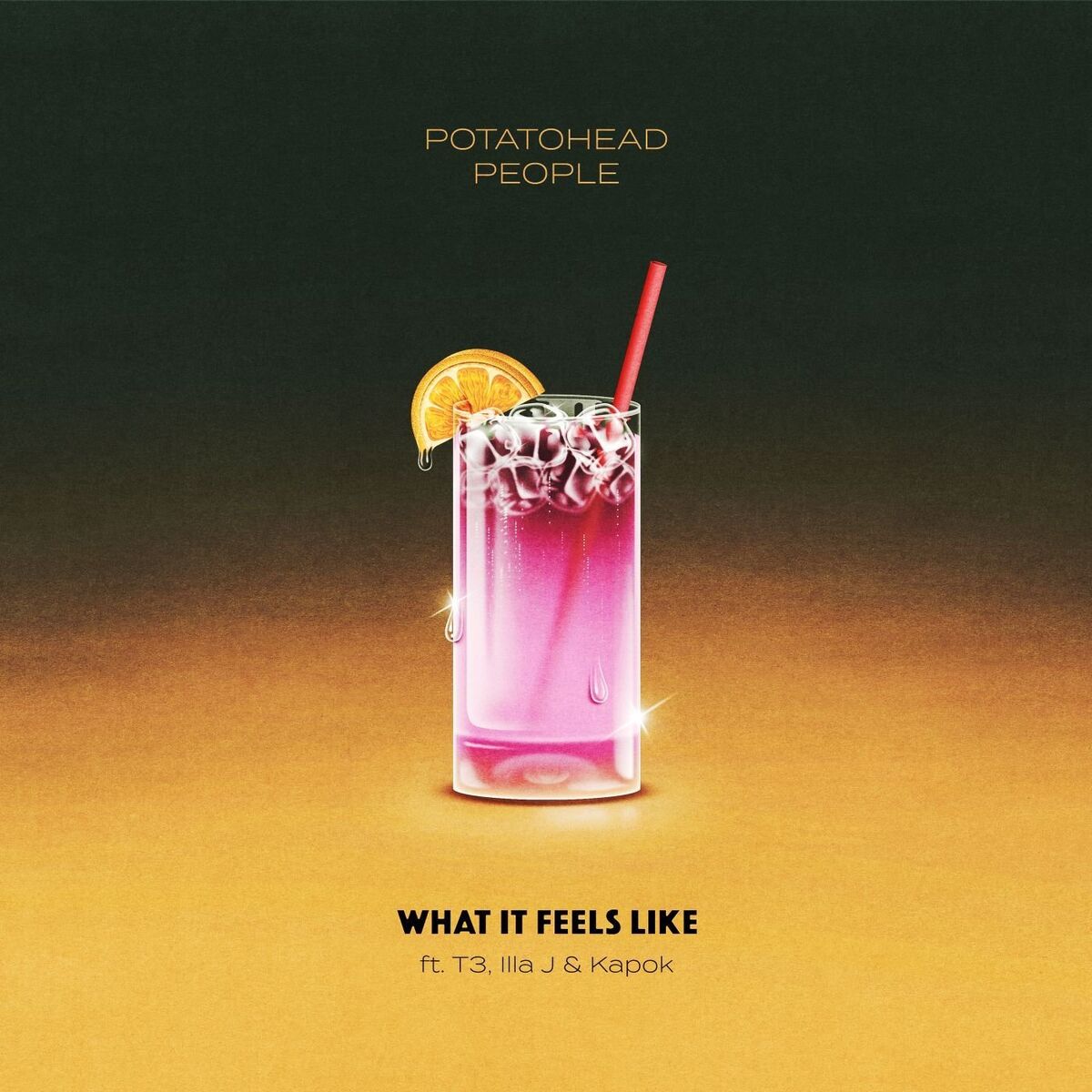 Album cover of What It Feels Like