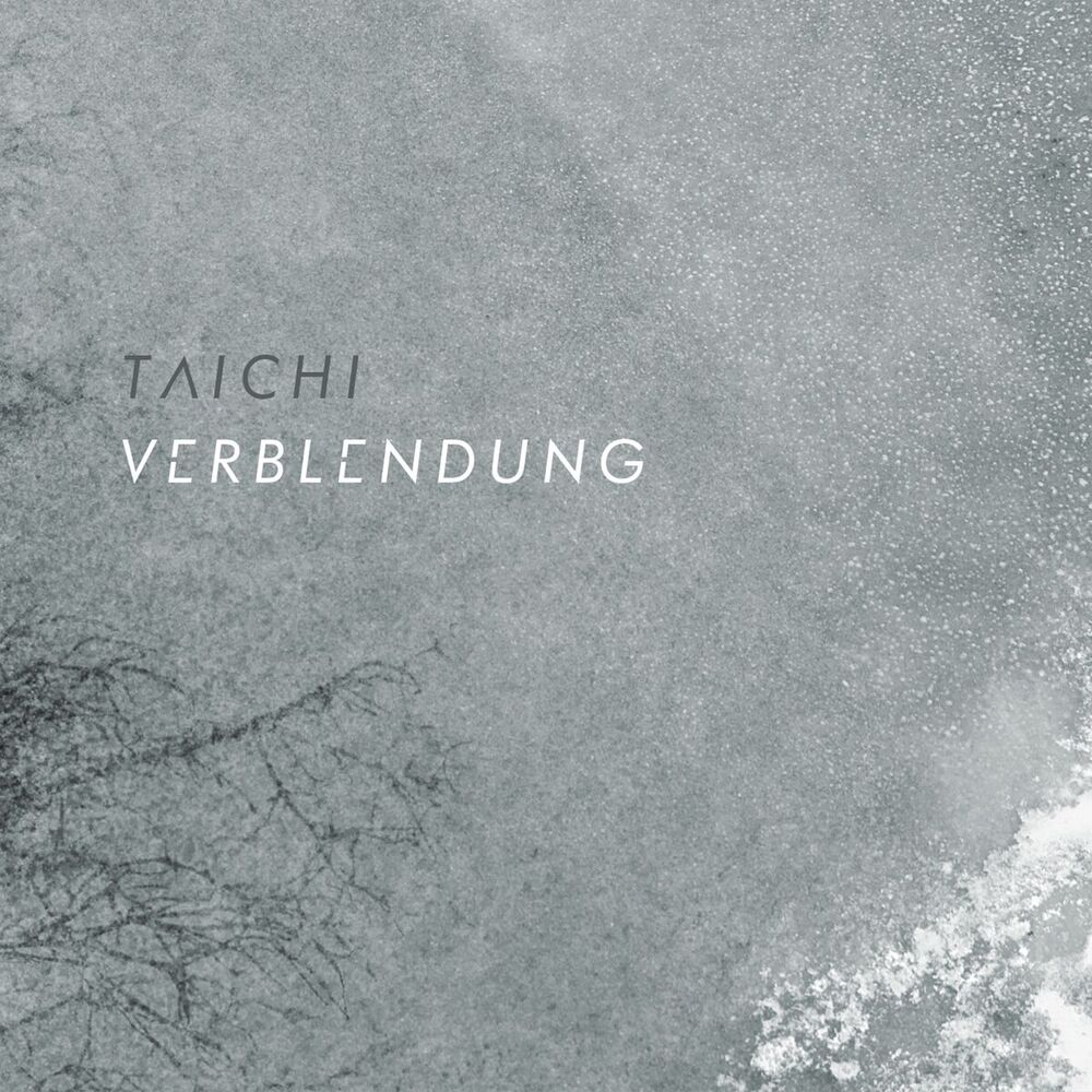 Picture of Verblendung
