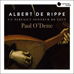 Cover of Rippe: Works for lute 'Un perfaict sonneur de Leut'