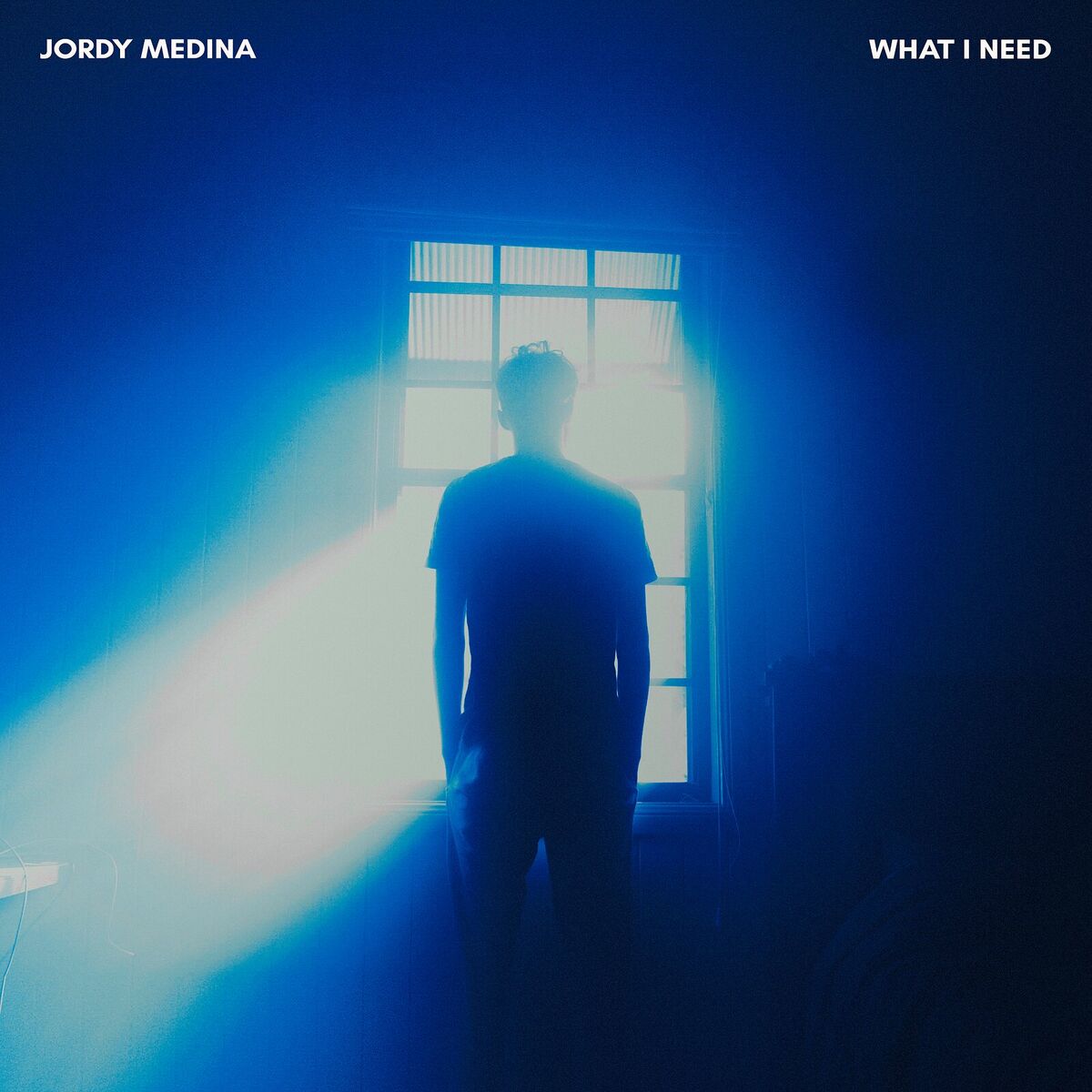 Album cover of What I Need