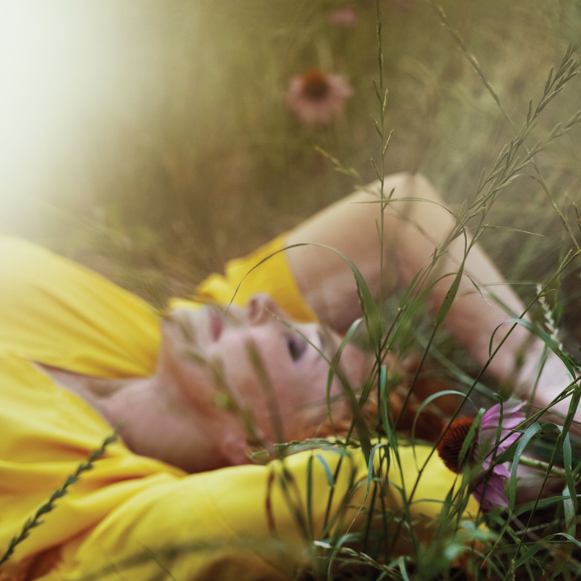 Album cover of Carezza d'autunno (con Carmen Consoli)