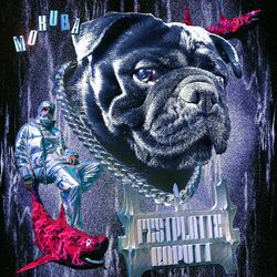 Cover of Festplatte Kaputt