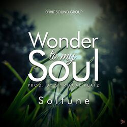 Cover of Wonder To My Soul