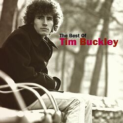 Cover of The Best Of Tim Buckley