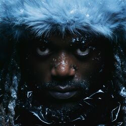 Cover of ANTARCTIQUE