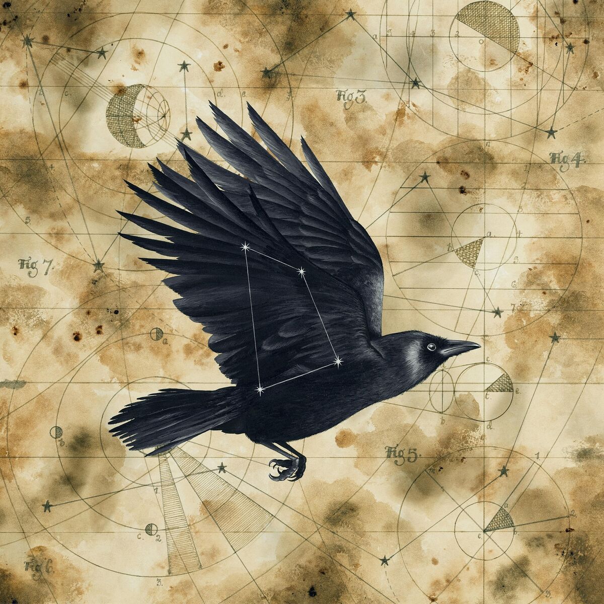 Album cover of Grimspound