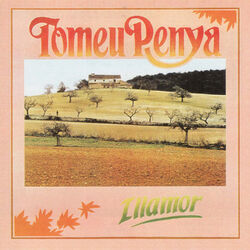 Cover of Illamor