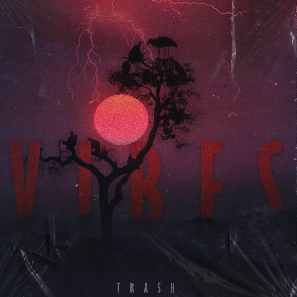Picture of Vibes