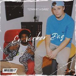 Cover of En vacker dag
