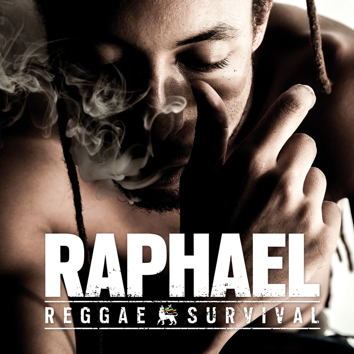Album cover of Reggae Survival