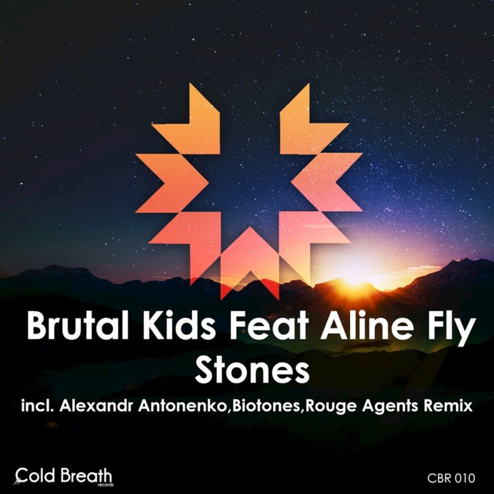 Picture of Stones (feat. Aline Fly)