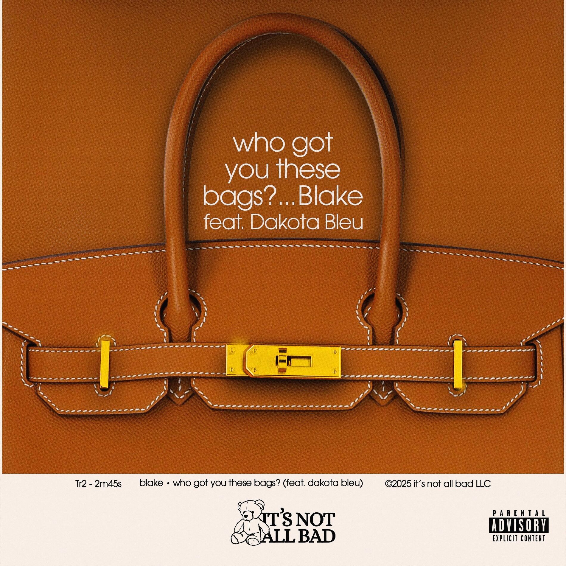Album cover of WHO GOT YOU THESE BAGS? (feat. Dakota Bleu)