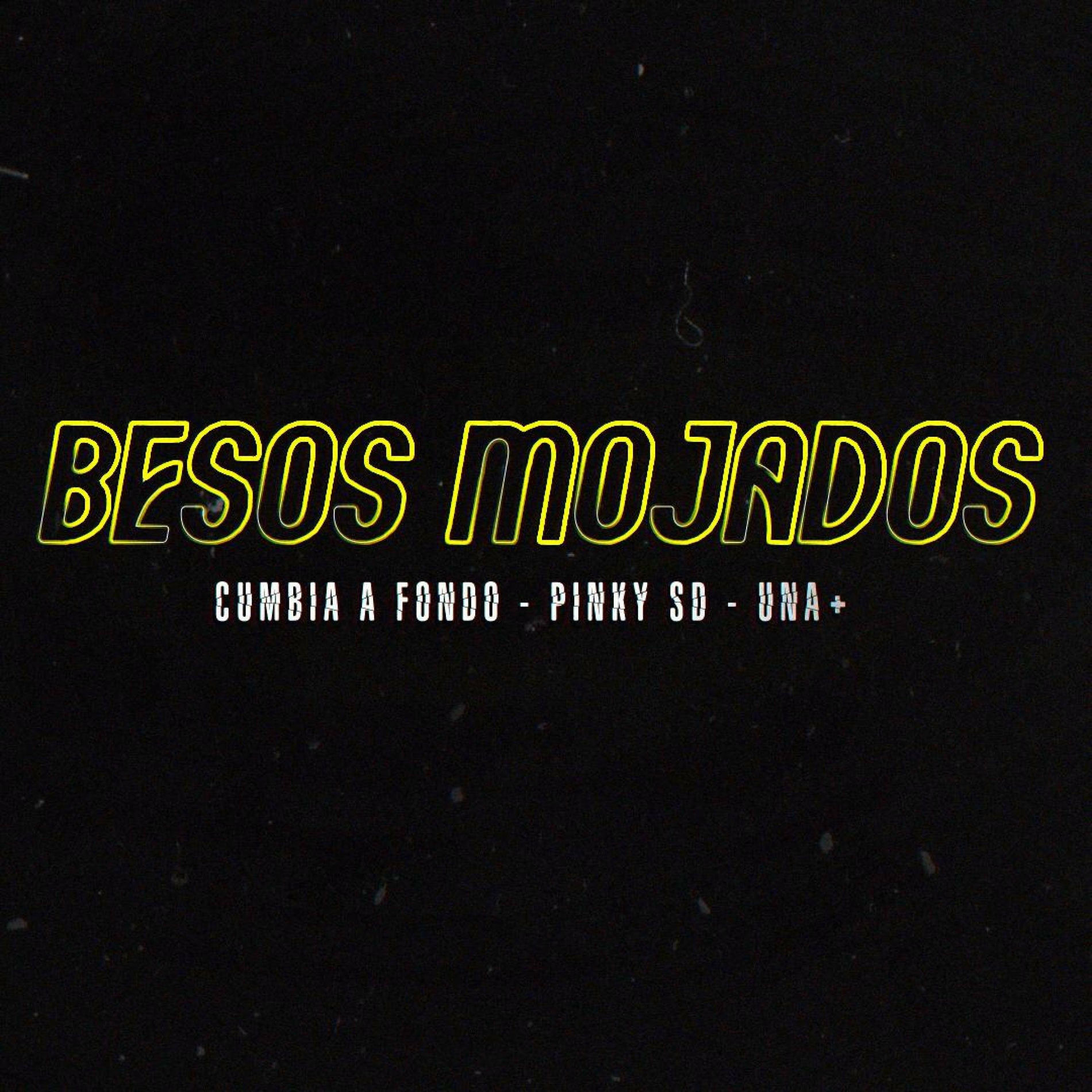 Album cover of Besos Mojados