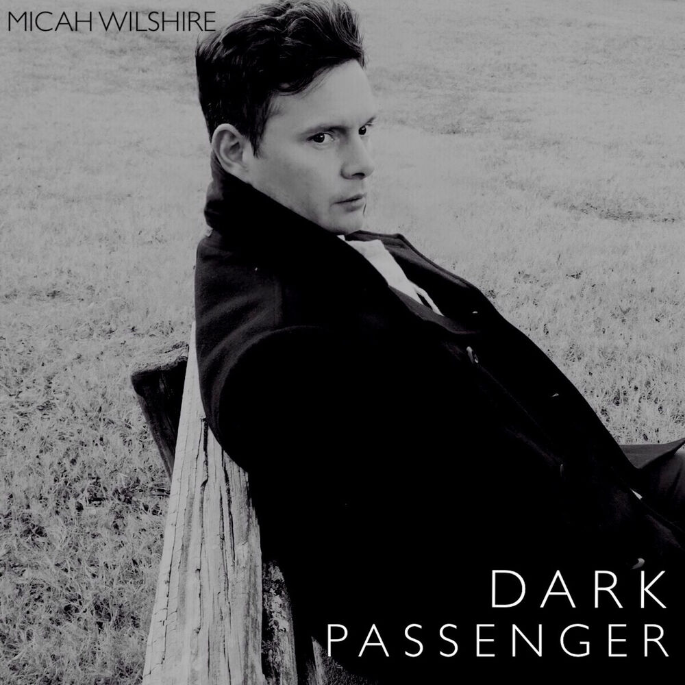Picture of Dark Passenger