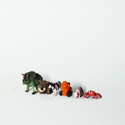 Cover of Dance of the Crab