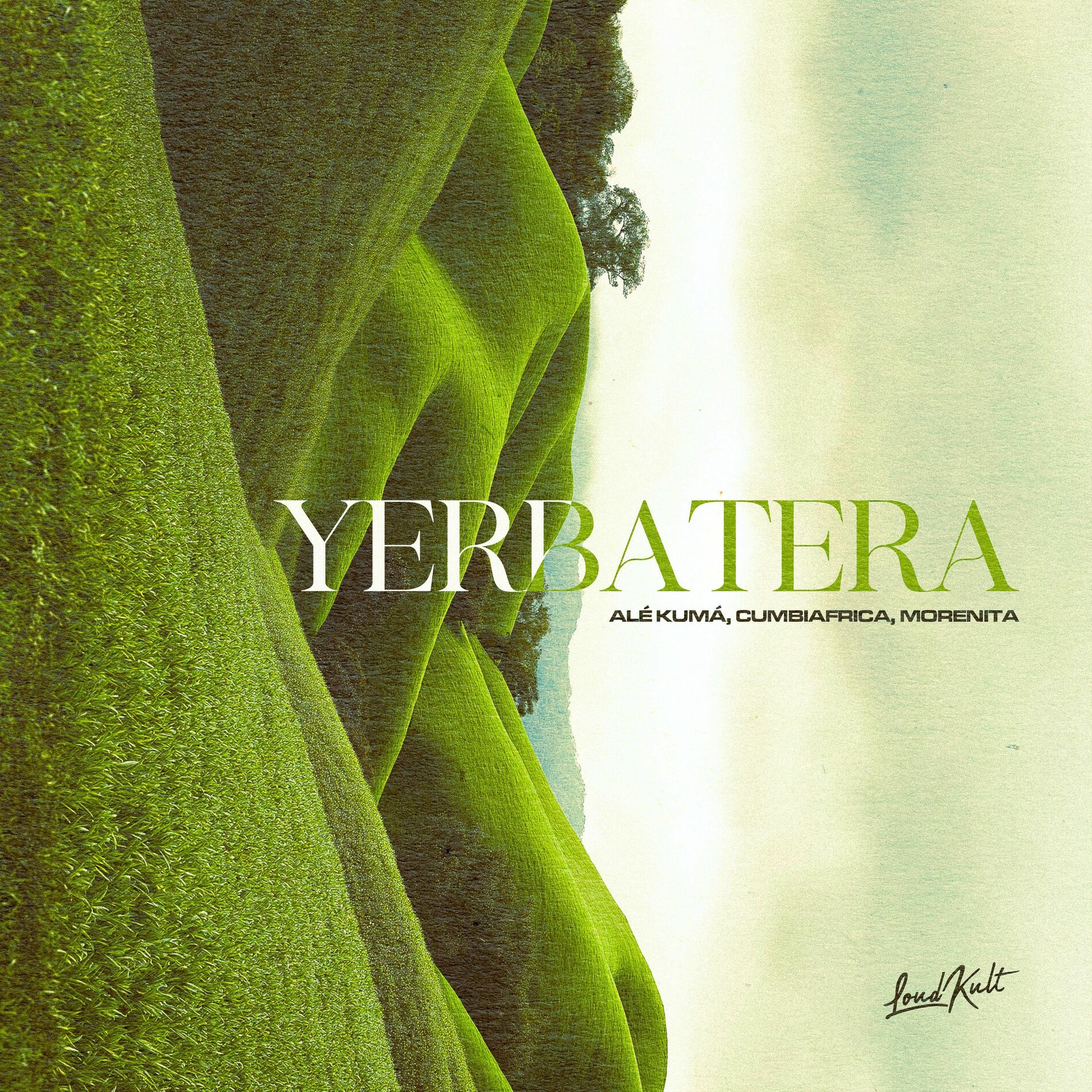 Album cover of Yerbatera