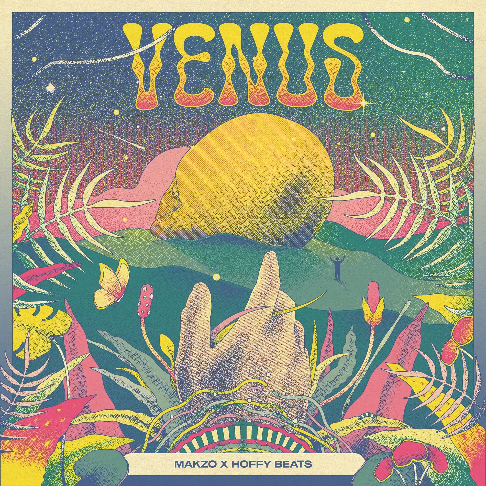 Album cover of Venus