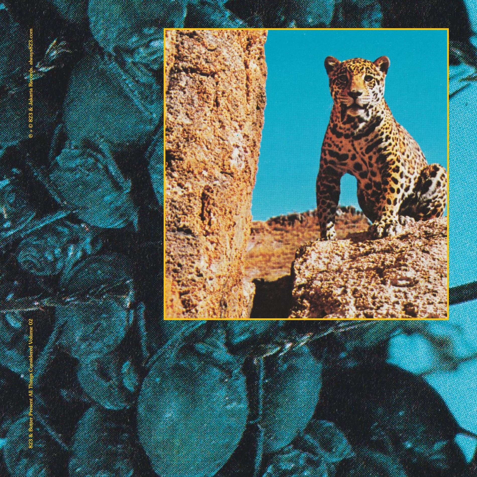 Album cover of Meadows