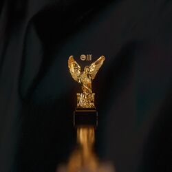 Cover of Try
