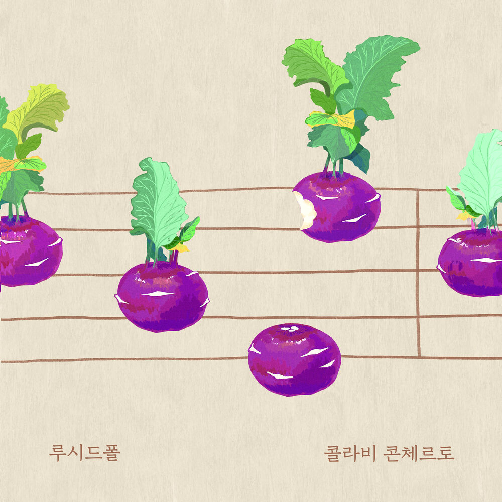 Picture of Kohlrabi concerto