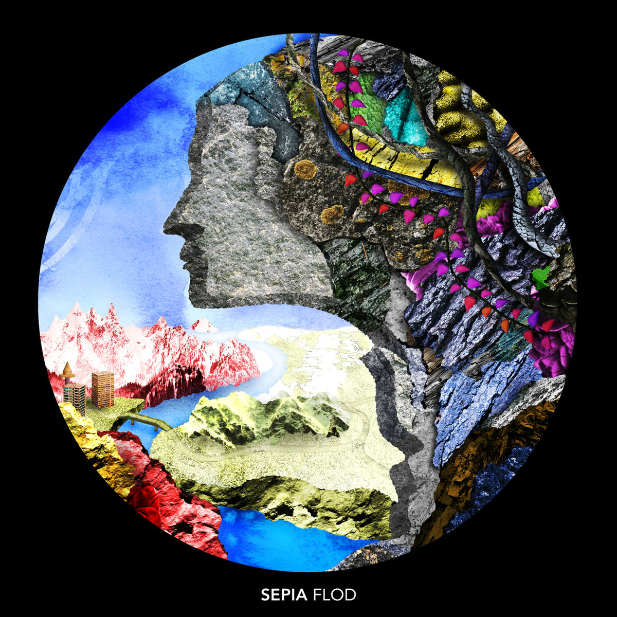 Album cover of Flod