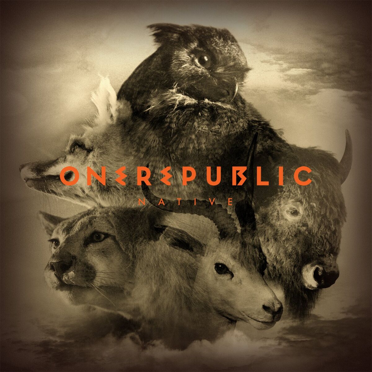 Album cover of Counting Stars