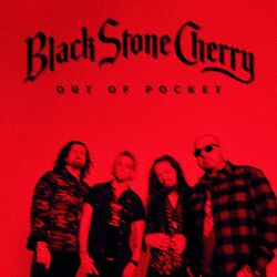 Cover of Out Of Pocket