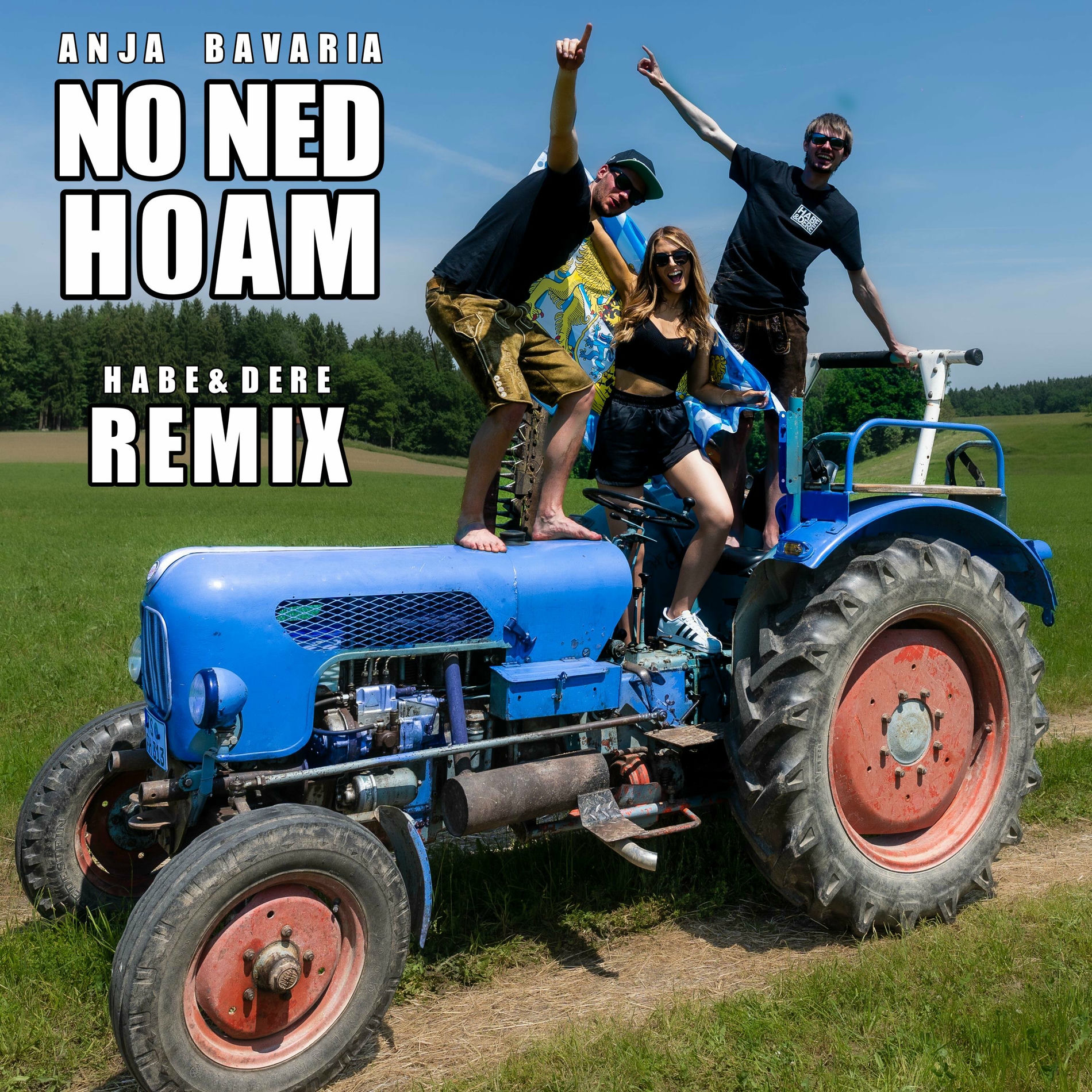 Album cover of NO NED HOAM (Remix)