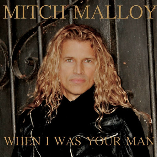 MITCH MALLOY,ミッチ・マロイ,DVD, DENANDER MITCH MALLOY,ミッチ・マロイ,DVD,TOMMY DENANDER