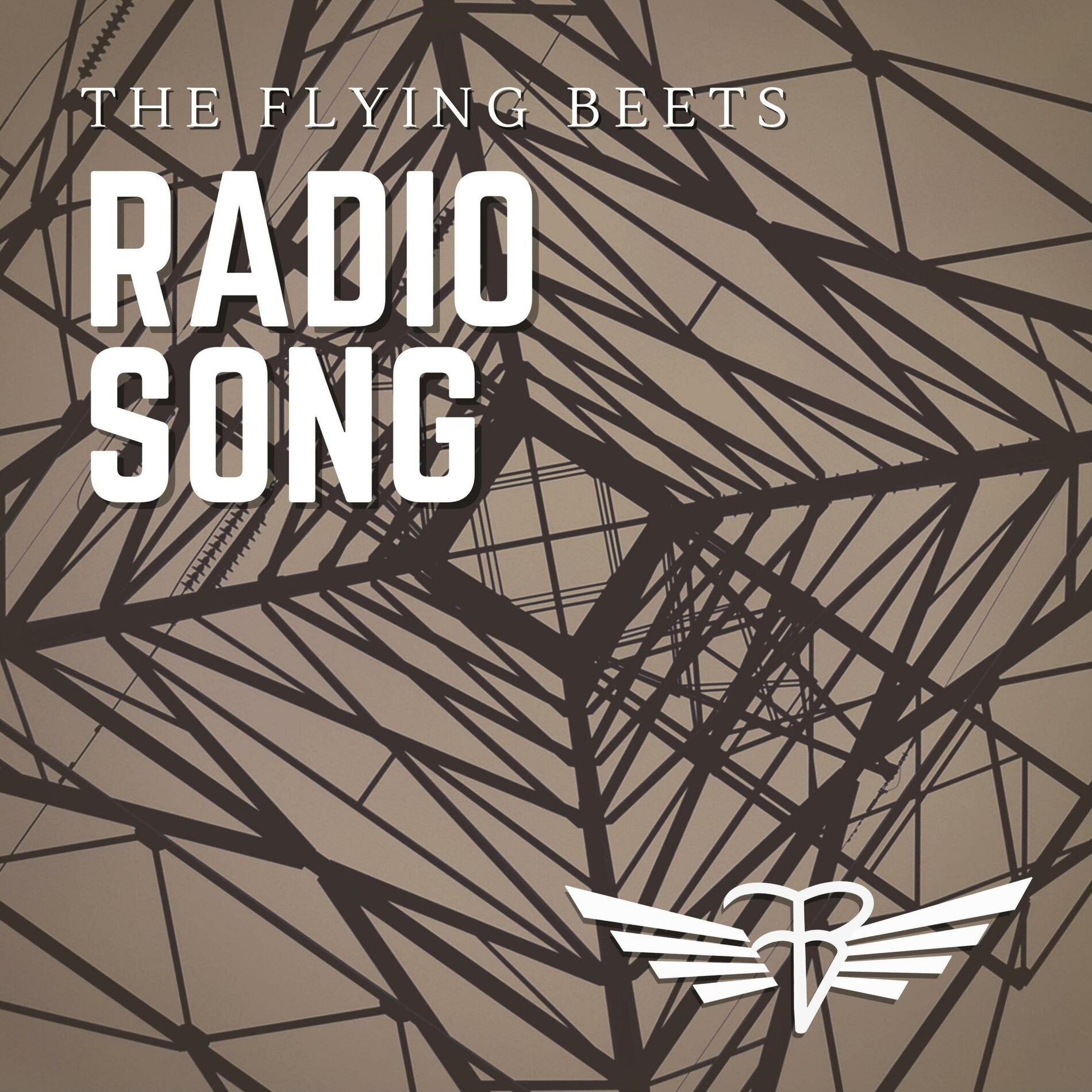 Album cover of Radio Song
