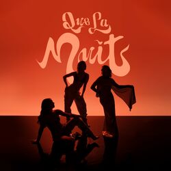 Cover of Que la nuit