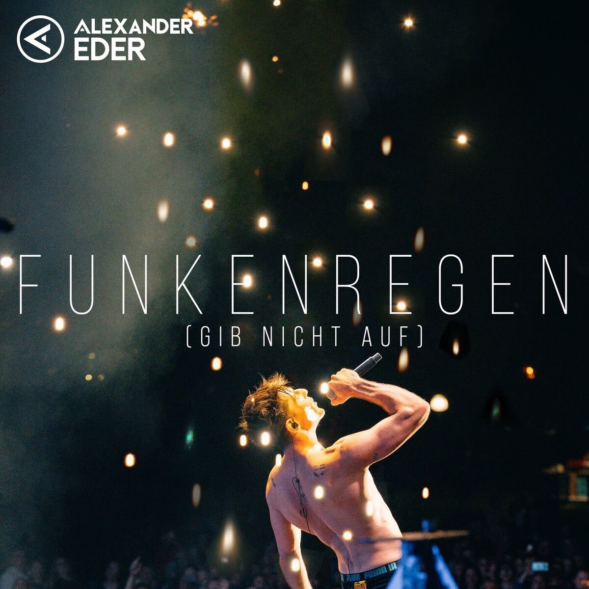 Album cover of Funkenregen (Gib nicht auf)